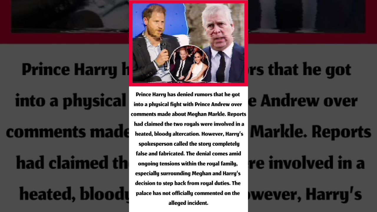 Prince Harry DENIES Bloody Brawl With Andrew Over Meghan Markle Comments 