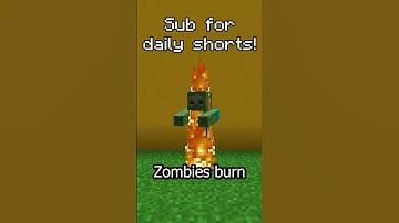 Useless Minecraft Facts!!! #73 #minecraft #minecraftshorts #shorts