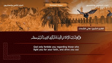 سورة الممتحنة الشيخ هانى الشحات