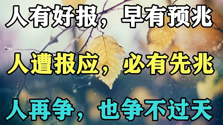 禅意人生合集： 「人有好报，早有预兆」，「人遭报应，必有先兆」，「人再争，也争不过天」 - 天天要闻