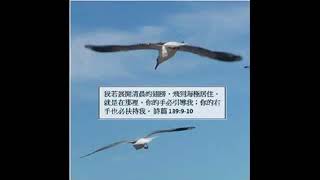 新頌大會廣東話 Cantonese 20180713-2