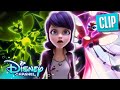 Monarch Makes His Wish рџ Season 5 Finale Miraculous Ladybug Disneychannelanimation X Miraculous Monarch Makes His Wish рџ Season 5 Finale Miraculous Ladybug Disneychannelanimation X Miraculous