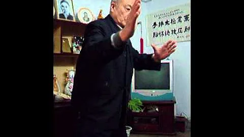Yang Zhenguo taiji