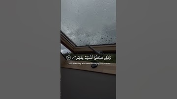 وما كان الله ليظلمهم ولكن كانوا أنفسهم يظلمون القارئ عبدالرحمن مسعد 🤍