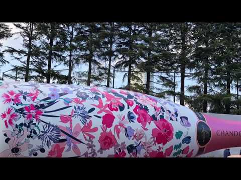 六本木 桜祭り　桜思い出コレクション 桜想い出セレクション  Roppongi /Tokyo /Japan