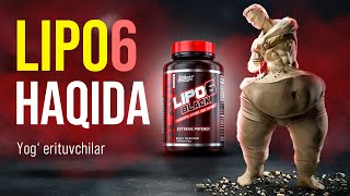 Lipo 6 haqida | Yog‘ erituvchilar