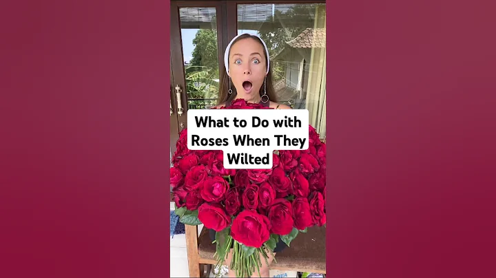 I Didn’t Know What to Do with Roses When They Wilted