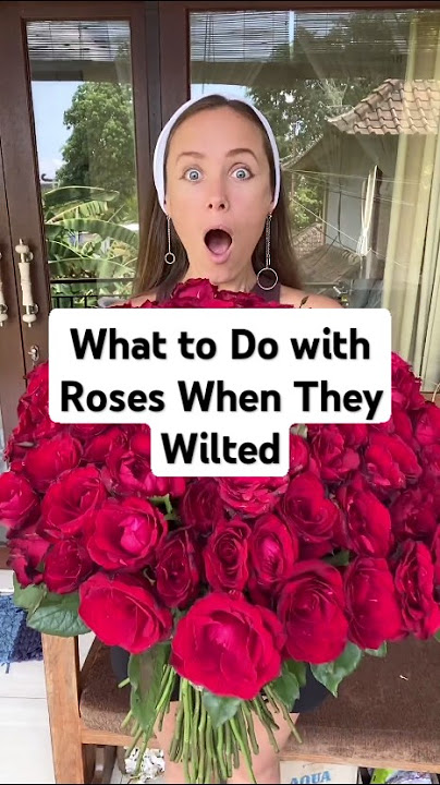 I Didn’t Know What to Do with Roses When They Wilted