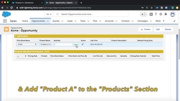 BoonPlus: Using Multiple Price Books in a Single Opportunity in Lightning