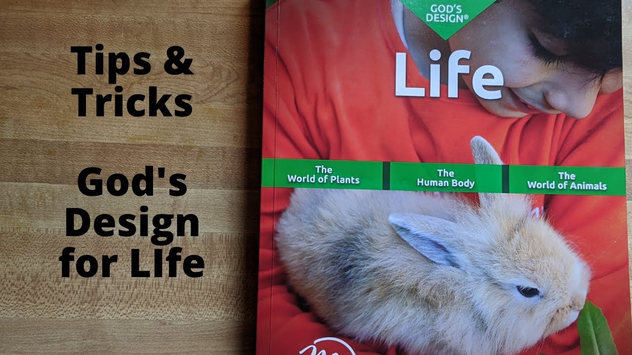 Homeschool Tips & Tricks: God's Design for Life, Video #1 || Master Books - YouTube homeschool-tips-tricks-god-s-design-for-life-video-1-master-books-youtube