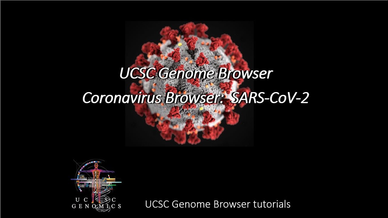 UCSC Genome Browser: Coronavirus Browser SARS-CoV-2 - YouTube