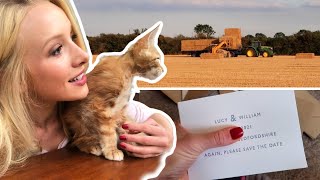 The END OF HARVEST but a NEW FAMILY MEMBER (exciting announcement) Farm Life Vlog