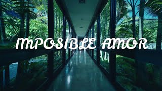 IMPOSIBLE AMOR Letra Lyrics Natti Natasha x Maluma