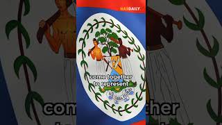 The Most Colorful Flag #386 Profile