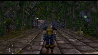 Nek'rosh's Gambit A Noble Brew Expert First Aid | Warrior (Classic WoW HC)