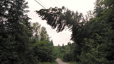How Hydro-Québec clears vegetation near power lines.