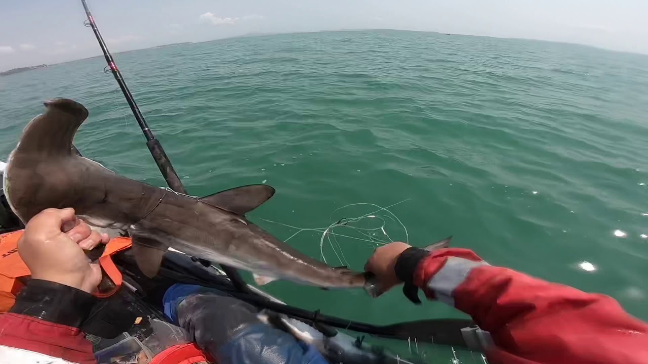 Longline fishing at East Auckland YouTube