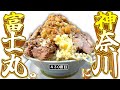 神奈川初の富士丸も変わらぬ破壊豚と悪魔的なニンニクが君を待っているぞ【ラーメン富士丸平塚店】
