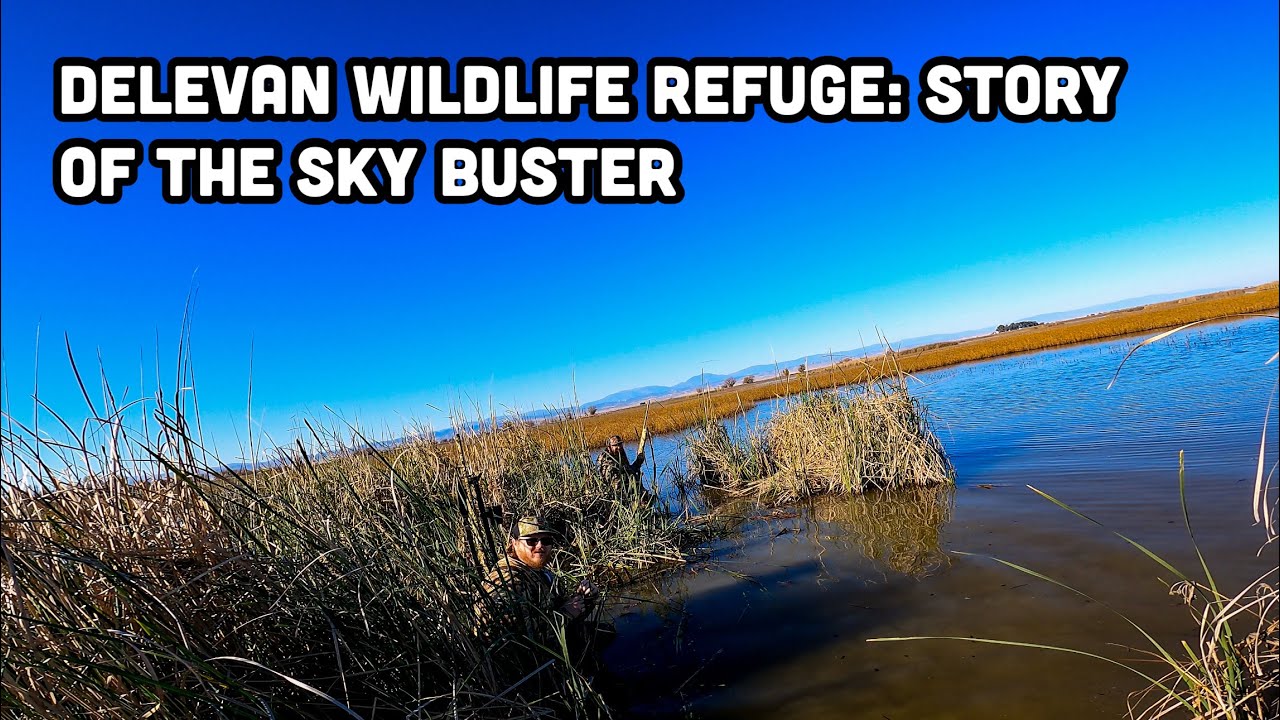 Заповедник дикой природы Делевань: история Sky BUSTER