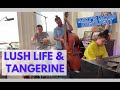 "Lush Life" & "Tangerine" - Miki's Mood 72 highlight feat. Dave Baron Jimmy Macbride