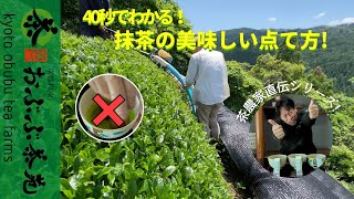 40秒でわかる。抹茶の美味しい点て方。茶農家直伝シリーズ