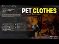 How To Buy &amp; Equip Cloths For Your Pets In Crimson Desert