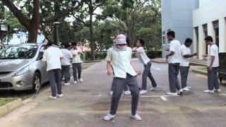 Harlem shake TSS