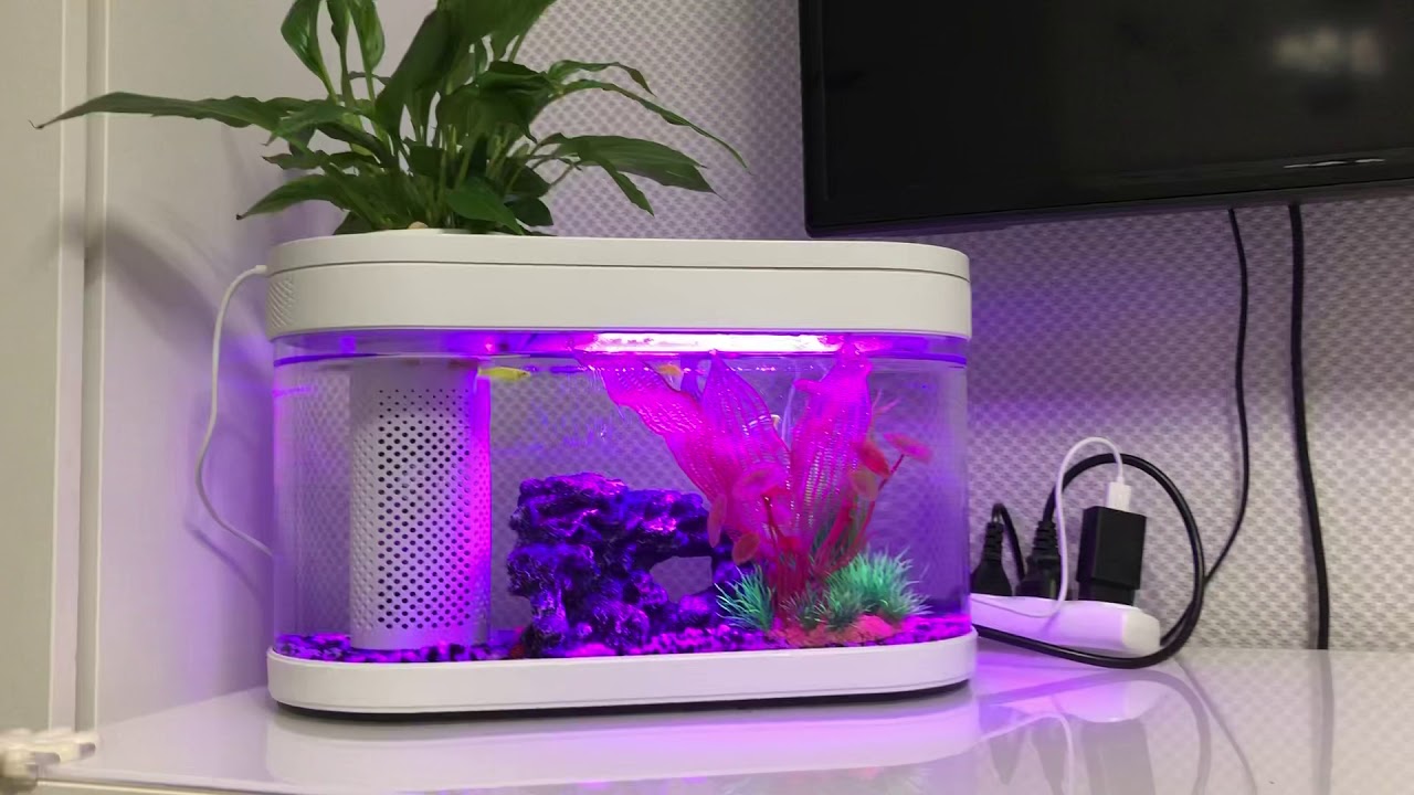 Акваферма Xiaomi Geometry Mini Lazy Fish