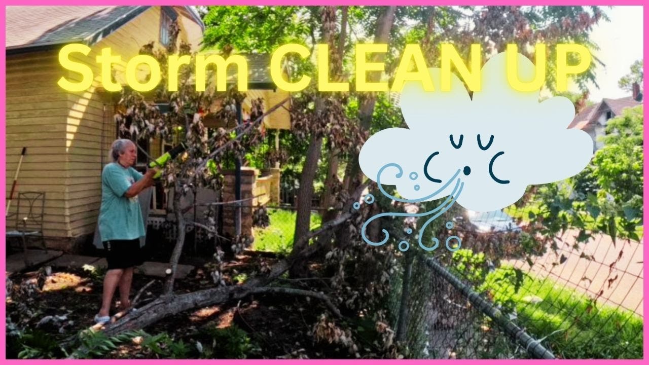 Yard CLEAN UP After A Storm | Motivational | ASMR - YouTube