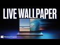 How to Set Live Wallpaper on Laptop Windows 11