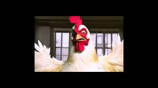 Kramer has finally lost it...#Seinfeld #Kramer #Bloopers #KramerBloopes #Behind_the_Scenes