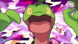 Pokémon - Grovyle Es Rechazado Por Meganium