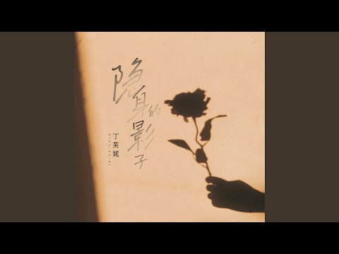 隐身的影子 (DJ版)