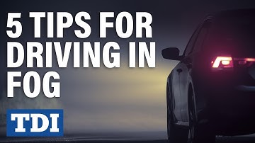 5 Tips for Driving in Fog | Division of Workers