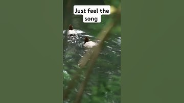 Esa sama na hota #beautiful #nature #youtubeshorts @mrs.sangwarcreativity