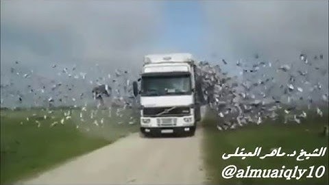 تأمل إلى خلق الله و إلى آيات الرحمن بصوت رحيم من الشيخ د. ماهر المعيقلي ،،