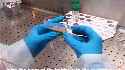 microfluidic bioreactor for 3D tissue culture with optical accessibility