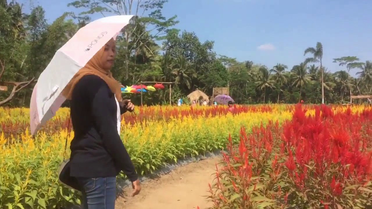 Pesona Taman Ramadanu Via Drone 2018 Ngluwar Magelang