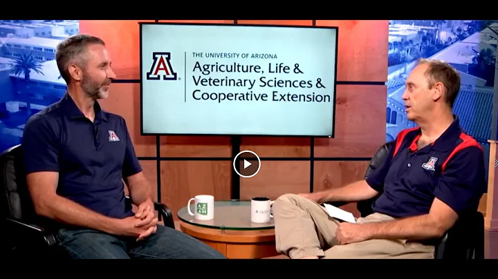 UArizona Life & Science: Michael Bogan