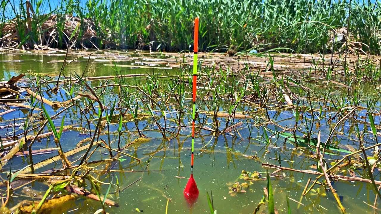 Pescuit cel mai mare secret la pluta o sal zic io