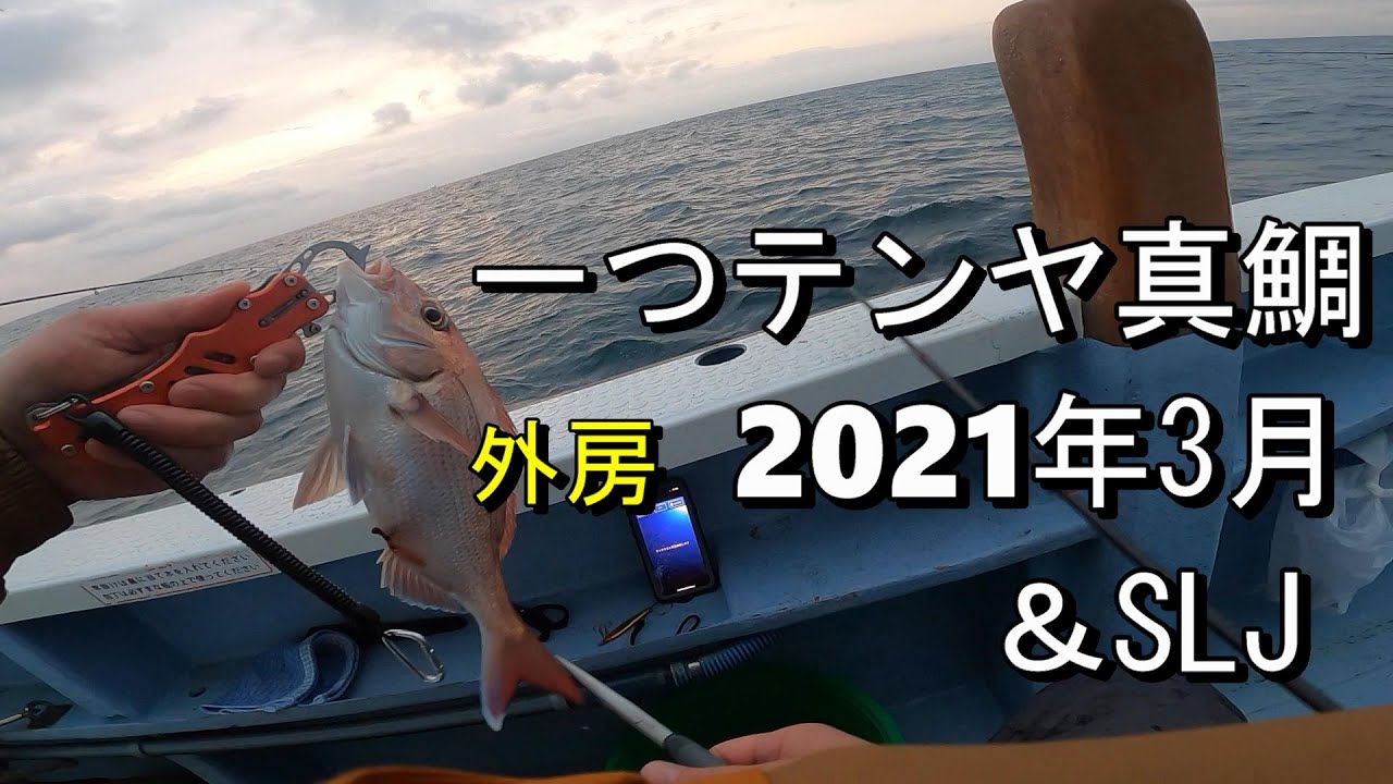 一つテンヤ真鯛 活きエビを使っての釣り Slj 外房飯岡 Youtube