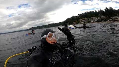 Three tree point diving