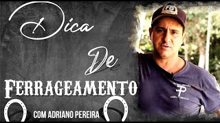 Dica de Ferrageamento - Doma de Bocal