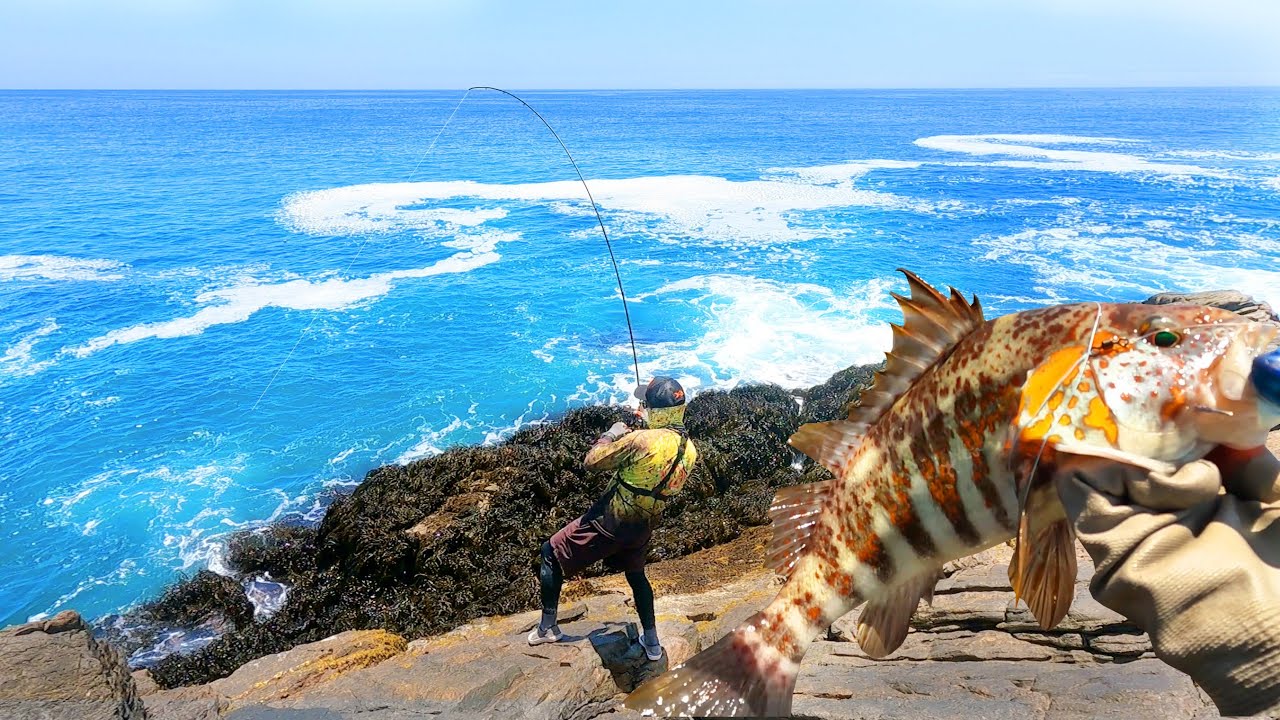 Encontró un pozo lleno de cabrillas