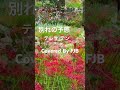 別れの予感/テレサテン　【カバー】　FJB　#cover