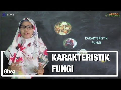 Materi Karakteristik Fungi/Jamur - adnanbiologi