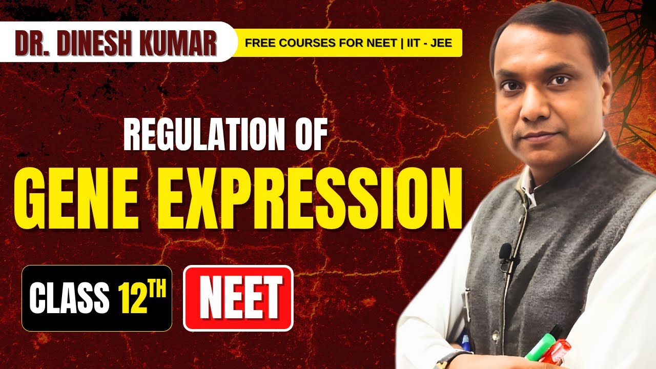 Regulation of Gene Expression Explained in Hindi | NEET Preparation