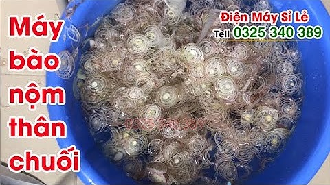 Máy thái nộm thân cây chuối, hoa chuối, bắp chuối bán chạy nhất hiện nay