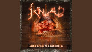 Video thumbnail of "Skinlab - Down (Re-mastered)"