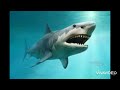 Megalodon vs Mosasaurus